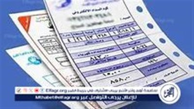 خطوات الاستعلام عن فاتورة استهلاك الكهرباء لشهر نوفمبر 2024 وإجراءات التقسيط