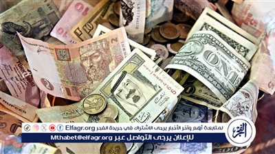 الدولار واليورو يسجلان أرقام جديدة.. أسعار العملات الأجنبية اليوم الأحد 3 نوفمبر 2024