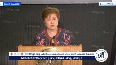 عاجل|الحكومة تكشف حقيقة حصول مصر على قرض جديد من صندوق النقد (فيديو)