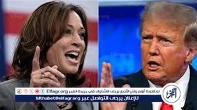 خبير سياسات دولية: ترامب فقد تركيزه عندما علم بهذا الأمر(فيديو)