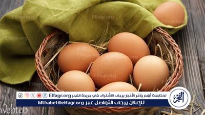 أسعار البيض اليوم الثلاثاء 5-11-2024 في الدقهلية
