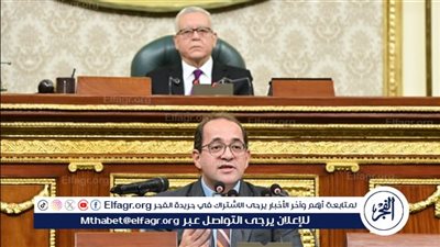 وزير المالية: الدين الخارجى بالموازنة العامة للدولة انخفض بواقع 3 مليارات دولار