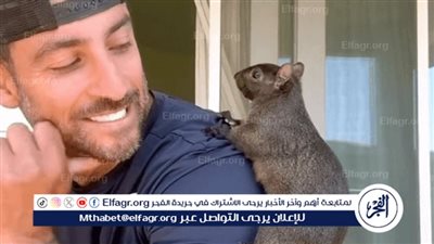 عاجل - انتخابات أمريكا 2024.. موت السنجاب بينوت يثير أزمة سياسية وترامب وأنصاره يستغلون الحادثة ضد الديمقراطيين (تفاصيل)