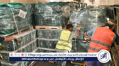 عاجل| الصحة اللبنانية تُعلن استشهاد 3 أفراد في غارة إسرائيلية على بعلبك