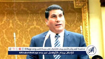 النائب علي بدر: قانون الإجراءات الجنائية الجديد يقضي على ظاهرة تشابه الاسماء