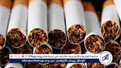 عاجل- بعد ارتفاع سعرها.. أسعار السجائر الجديدة لشهر نوفمبر 2024 (التفاصيل)