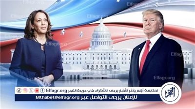 أستاذ علوم سياسية: الانتخابات الأمريكية بين ترامب وهاريس شهدت مفاجآت كبيرة(فيديو)