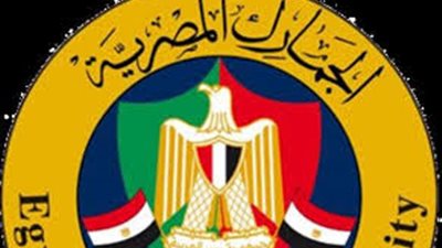 أكثر من 7مليار جنيه إجمالي الضرائب والرسوم بجمارك بورسعيد خلال شهر اكتوبر 2024 