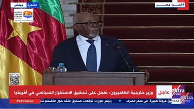 عاجل| وزير خارجية الكاميرون يشيد بالعلاقات الوثيقة مع مصر