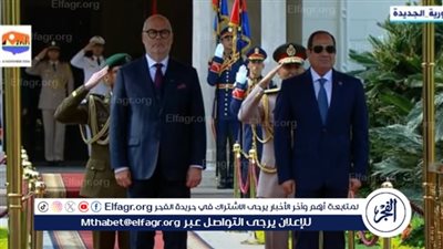 عاجل| السيسي يستقبل رئيس إستونيا بقصر الاتحادية