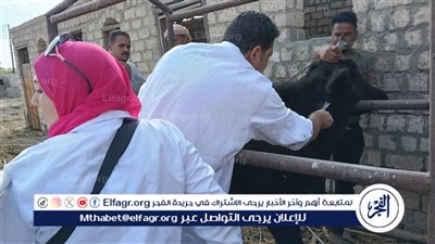تحصين 5750 رأس ماشية ضد الحمى القلاعية والوادي المتصدع في الفيوم