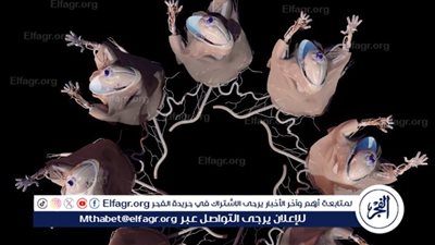 غدًا.. مهرجان دي-كاف يختتم فعاليات نسخته الثانية عشر بـ ٤ عروض متنوعة