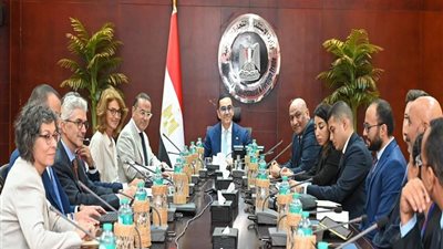 وزير الاستثمار يبحث التعاون مع منظمة الأمم المتحدة للتنمية الصناعية