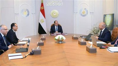 بعد اجتماع الرئيس اليوم.. تعرف على أبرز المشروعات التنموية في الوادي الجديد