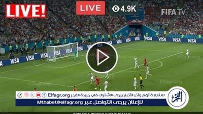 عاجل - موعد مباراة مانشستر سيتي وبرايتون في الدوري الإنجليزي والقنوات الناقلة والتشكيلة المتوقعة