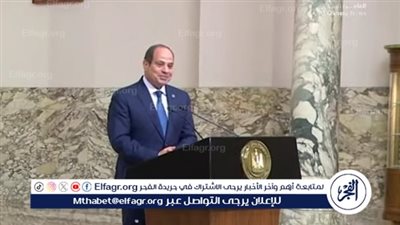 السيسي: لا حل لإنهاء الأزمات في المنطقة إلا بحل الدولتين (فيديو)