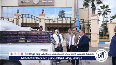 وصول أولى السيارات المتنقلة المحملة ببيض المائدة لمطروح.. الكرتونة بـ 150 جنيها 