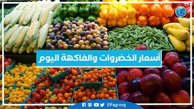 أسعار الخضروات والفاكهة اليوم الاثنين 11-11-2024 في أسواق محافظة البحيرة