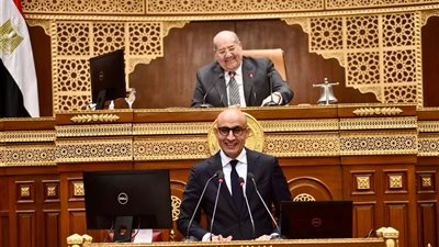 وزير التعليم أمام الشيوخ: التوسع في إنشاء المدارس اليابانية أولوية قصوى