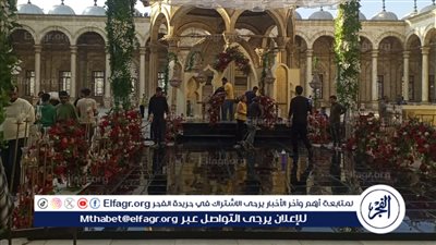 مرشد سياحي: القلعة قلبت قاعة أفراح ولما اشتكيت واحد قالي: «كُل عيش» فيديو