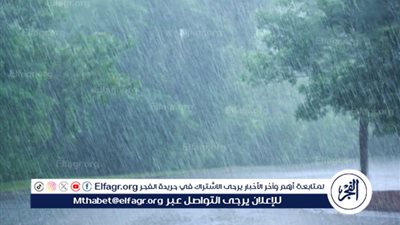 شكر الله وقت نزول المطر: عبادة يغفل عنها الكثيرون