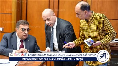 محافظ الدقهلية: تمويل 3500 مشروع بقيمة 290 مليون جنيه خلال العام الحالي 