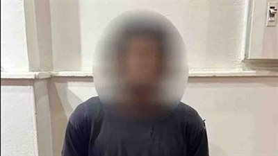 كشف ملابسات ذبح أحد الكلاب الضالة بشوارع السويس