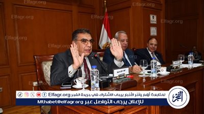 لهذه الأسباب..محافظ الدقهلية في اجتماع للجنة الإسكان والإدارة المحلية والنقل بمجلس الشيوخ 