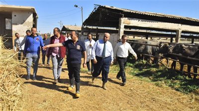 محافظ أسيوط يتفقد محطة بنى مر للثروة الحيوانية ويوجه بمواصلة الاستفادة من المخلفات الزراعية