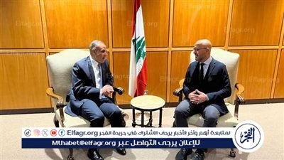 مصر تواصل دعم لبنان.. تسليم شحنة مساعدات إغاثية رابعة تزن 21 طنًا لمواجهة الأزمات