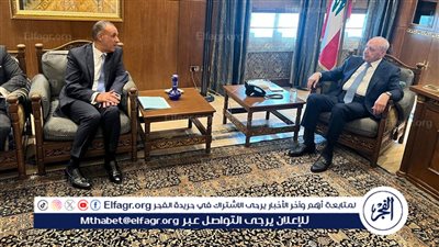 عاجل| وزير الخارجية يؤكد موقف مصر الرافض للانتهاكات الإسرائيلية المتكررة للسيادة اللبنانية