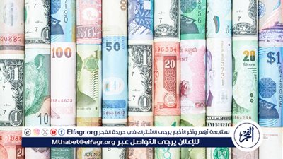 استقرار أسعار العملات مقابل الجنيه المصري اليوم 14 نوفمبر 2024