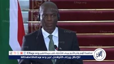 وزير التعاون الدولي بجنوب إفريقيا: نقدر دور مصر لوقف إطلاق النار في غزة