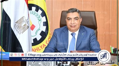 محافظ الدقهلية: تكثيف أعمدة وكشافات الإنارة وعمل مطبات صناعية ومنع سير النقل الثقيل بطريق المطرية بورسعيد 