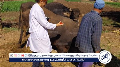 انطلاق الحملة القومية الثالثة للتحصين ضد الحمى القلاعية وحمى الوادي المتصدع