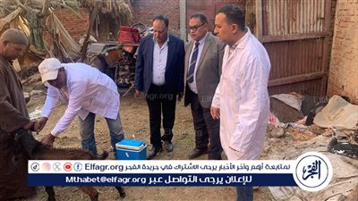 محافظ الدقهلية: تحصين أكثر من 10 آلاف رأس ماشية ضد الحمى القلاعية في اليوم الأول 