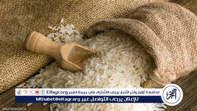 استقرار أسعار الأرز وانخفاض ملحوظ في الأسواق المصرية
