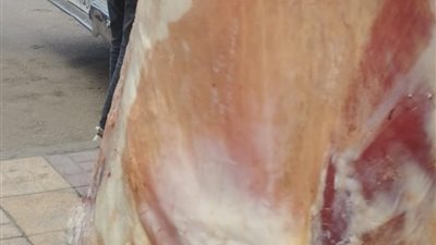 تموين المنتزه تضبط لحوم مذبوحة خارج المجازر وتصرف فى سلع تمونيية مدعمة 