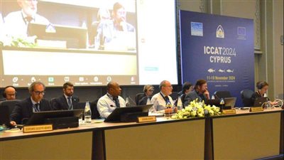 عاجل.. مصر تحصل على حصة من أسماك أبو سيف بالبحر المتوسط