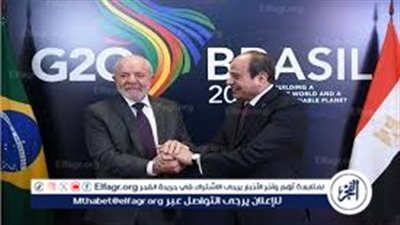 خبير يوضح مكاسب مصر من المشاركة في قمة مجموعة العشرين (فيديو)