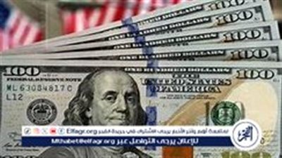سعر الدولار اليوم الثلاثاء 19 نوفمبر 2024: استقرار ملحوظ في بداية التعاملات