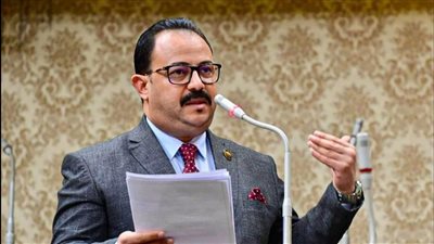 طلب إحاطة فى مجلس النواب لحجب التيك توك عن مصر 