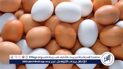 البيض: أهميته الصحية والفروق بين البيض الأبيض والأحمر
