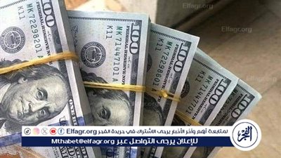 استقرار سعر الدولار أمام الجنيه المصري في تعاملات الخميس 21 نوفمبر 2024