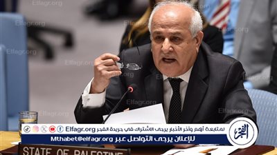 عاجل - مندوب فلسطين بالأمم المتحدة: موقف مصر الداعم للقضية الفلسطينية يؤكد العلاقات الأخوية ودورها الريادي