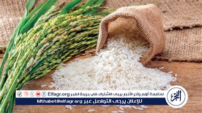 عاجل - استقرار أسعار الأرز اليوم في الأسواق المصرية - الإثنين 13 يناير 2025