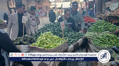 محافظ أسيوط: حملات الإشغالات وتعديات الباعة الجائلين متواصلة بمركز أبوتيج