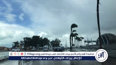 عاجل - تفاصيل حالة الطقس غدا في مصر.. شبورة صباحا والصغرى بالقاهرة 17 درجة