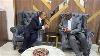 وزير الخارجية والهجرة يلتقي وزير الصناعة بالكونجو الديمقراطية