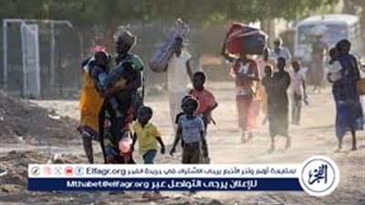دبلوماسية سابقة: مصر كانت داعمة للسودان رغم تشتت اهتمام المجتمع الدولي